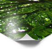 Crazy Green Tree Foto Foto Afdruk (Hoek)