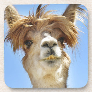 Crazy Hair Alpaca Bier Onderzetter