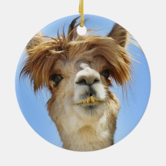 Crazy Hair Alpaca Keramisch Ornament (Achterkant)