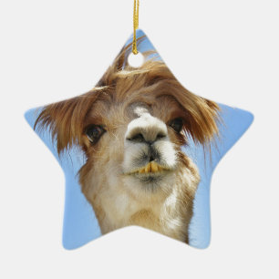 Crazy Hair Alpaca Keramisch Ornament