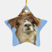 Crazy Hair Alpaca Keramisch Ornament (Achterkant)