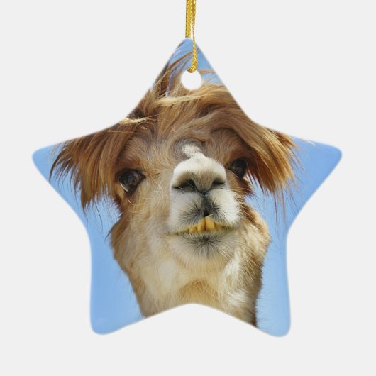 Crazy Hair Alpaca Keramisch Ornament (Achterkant)