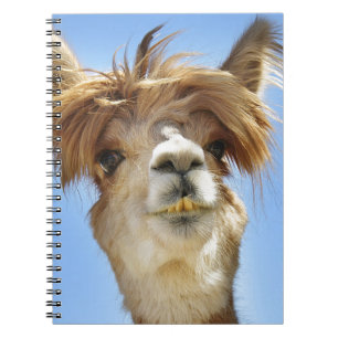 Crazy Hair Alpaca Notitieboek