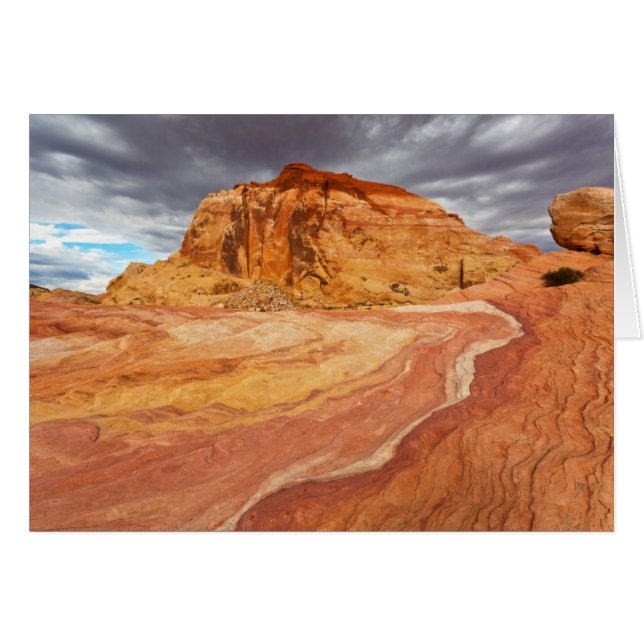 Crazy Hill Tempest (Devant horizontal)