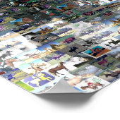 Crazy Horse Indian Poster (Hoek)