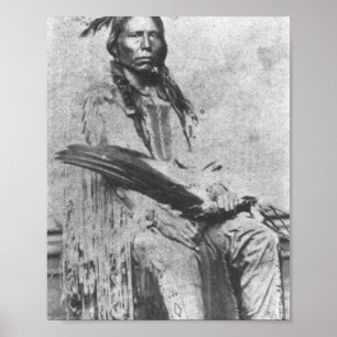 Crazy Horse Poster