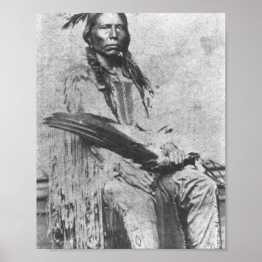 Crazy Horse Poster (Voorkant)