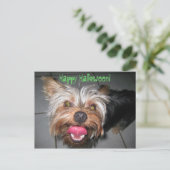 Crazy Jasper ~ Briefkaart (Staand voorkant)