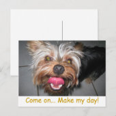 Crazy Jasper ~ Briefkaart (Voorkant / Achterkant)