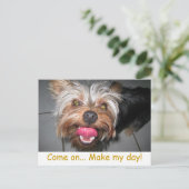 Crazy Jasper ~ Briefkaart (Staand voorkant)