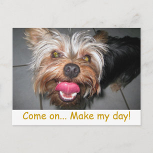 Crazy Jasper ~ Carte postale