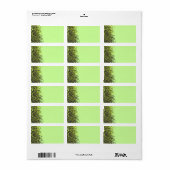 Crazy Musical Note Bat Mitzvah Label (Full Sheet)