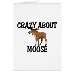 Crazy over Moose