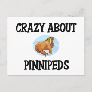 Crazy over Pinnipeds Briefkaart