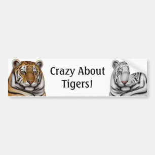Crazy Over Tigers Bumpersticker