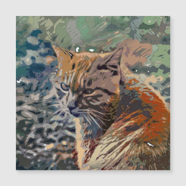 Crazy Paint - Cat 2 (Voorkant)