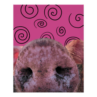 Crazy Pig Perfect Poster
