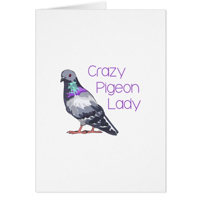 CRAZY PIGEON LADY (Voorkant)