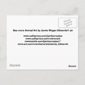 Crazy pour chats carte postale (Dos)