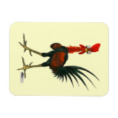 Crazy Rooster Magneet (Horizontaal)