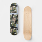 CrAzY Sk8-paarden Skateboard (Voorkant)