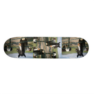CrAzY Sk8-paarden Skateboard