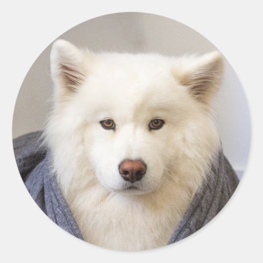 CRB - Gezellig Beer Ronde Sticker (Voorkant)