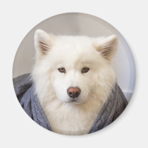 CRB Magnet - Cozy Beer Magneet