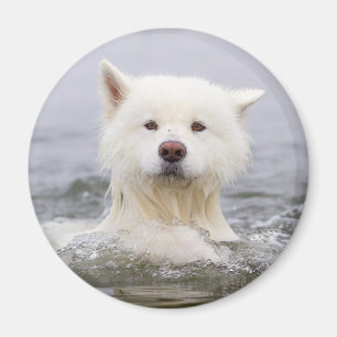 CRB Magnet - Polair Beer Magneet