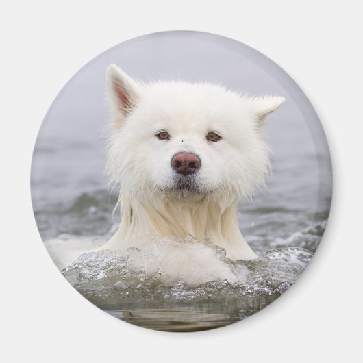 CRB Magnet - Polair Beer Magneet (Voorkant)