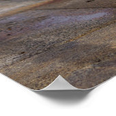 CRB Rainbow Bridge Poster (Coin)