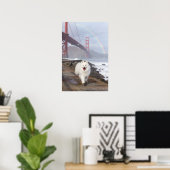 CRB Rainbow Bridge Poster (Bureau à domicile)