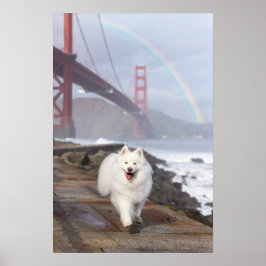CRB Regenboogbrug Poster