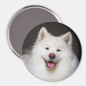 CRB Smiling Magnet (Recto/Verso)