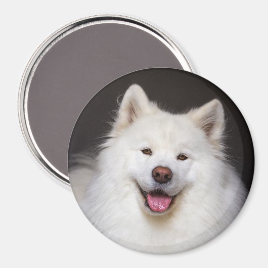 CRB Smiling Magnet (Recto/Verso)