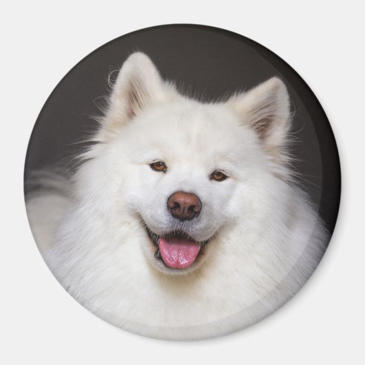 CRB Smiling Magnet (Devant)