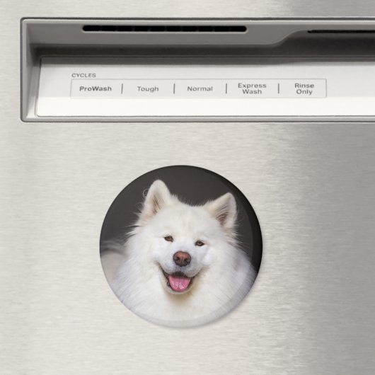 CRB Smiling Magnet Magneet (Insitu (Vaatwasser))