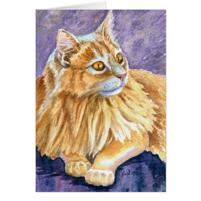 Cream Angora Cat (Voorkant)