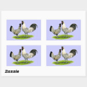 Cream Brabanter Chickens Rechthoekige Sticker (Vel)