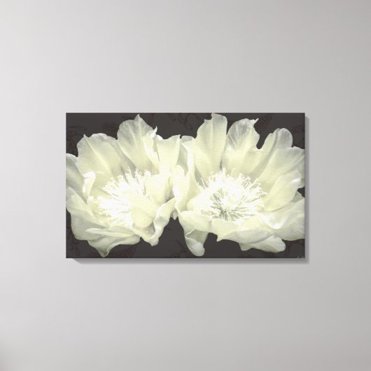 Cream Cactus Flowers Canvas Afdruk (Voorkant)