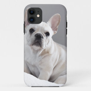 Cream Frenchie iPhone 11 Hoesje