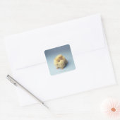 Cream-gekleurd cavia vierkante sticker (Envelop)