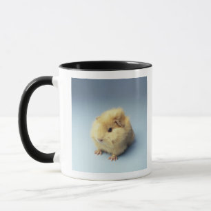 Cream-gekleurde Guinese varken Mok