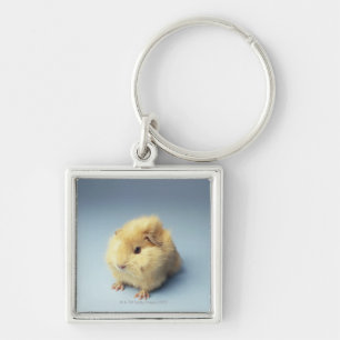 Cream-gekleurde Guinese varken Sleutelhanger