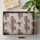 Cream Howdy Cowboy Westerne Petten Tissuepapier (Geschenk)