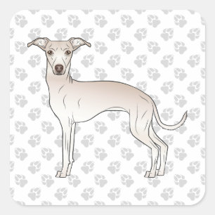 Cream Italiaanse Greyhound Cute Cartoon Dog met po Vierkante Sticker
