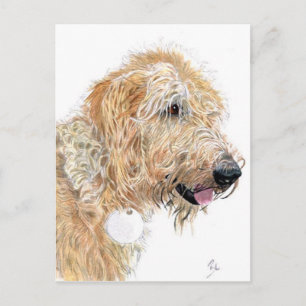 Cream Labradoodle Briefkaarten