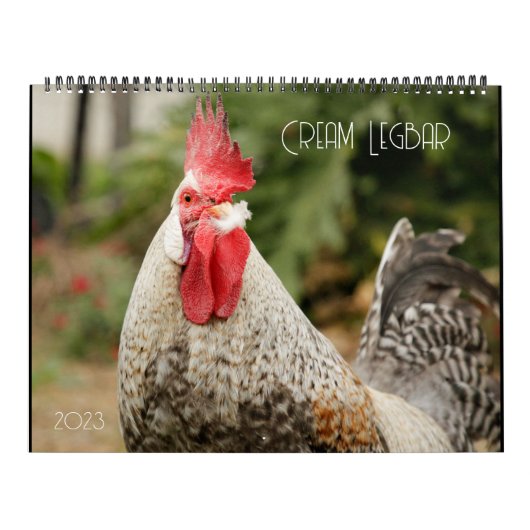 Cream Legbar 2023 Agenda Kalender (Hoes)
