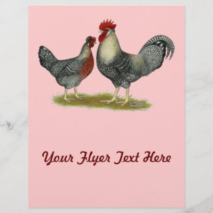 Cream Legbar-kippen Flyer