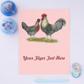 Cream Legbar-kippen Flyer (Enkel)